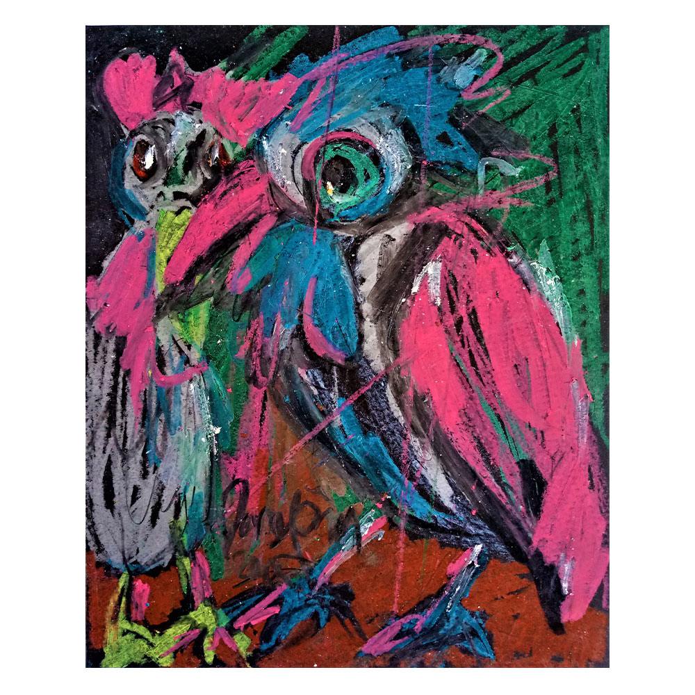 DB00137 - Papağanlar