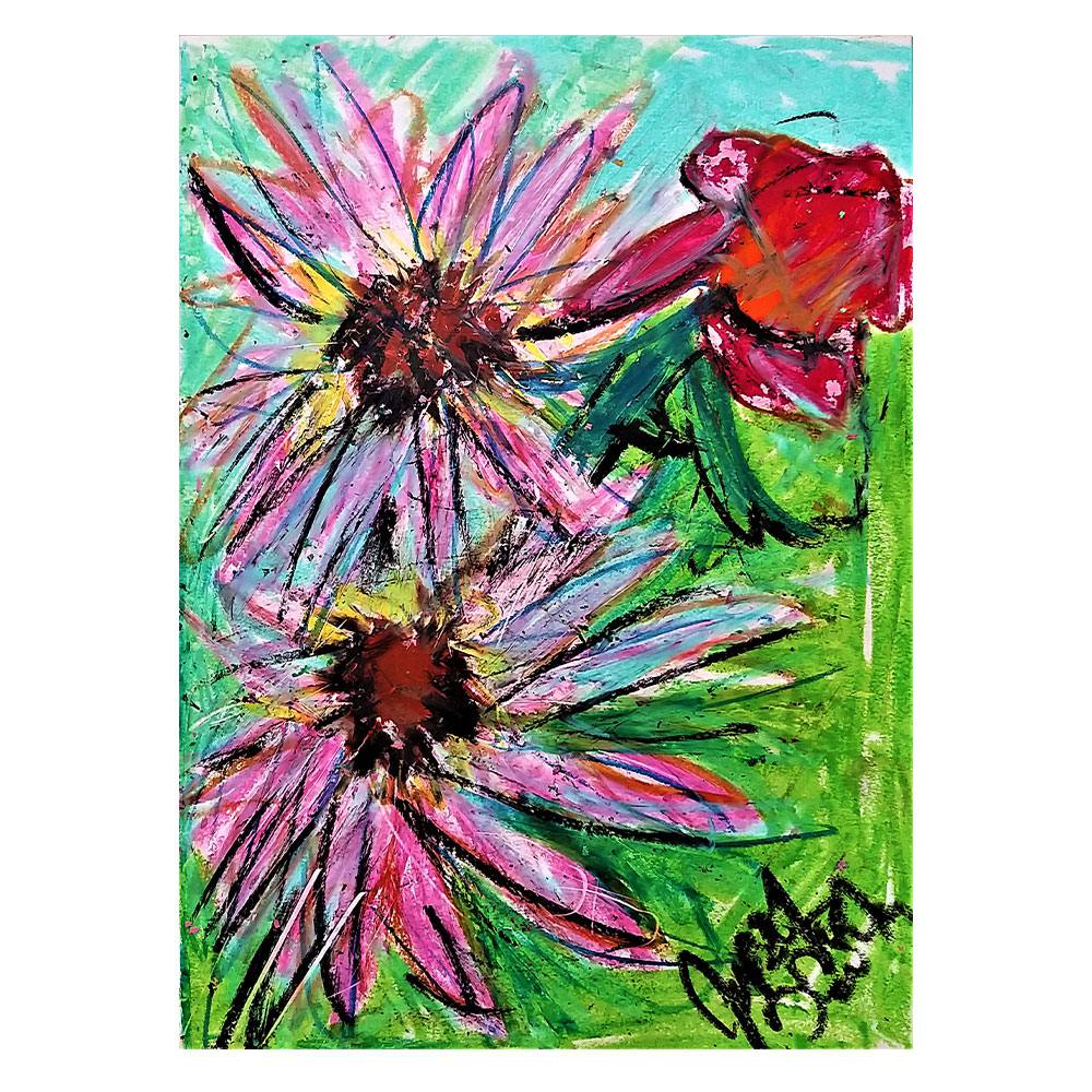 DB00237 - Krizantemler